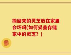 摘回来的灵芝放在家里会坏吗(如何妥善存储家中的灵芝？)