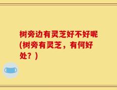 树旁边有灵芝好不好呢(树旁有灵芝，有何好处？)