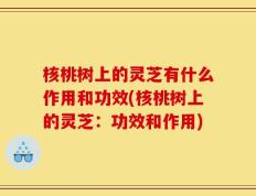 核桃树上的灵芝有什么作用和功效(核桃树上的灵芝：功效和作用)
