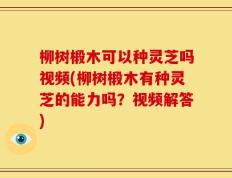 柳树椴木可以种灵芝吗视频(柳树椴木有种灵芝的能力吗？视频解答)