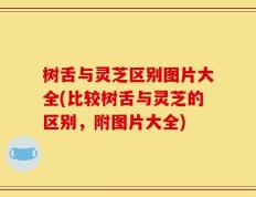 树舌与灵芝区别图片大全(比较树舌与灵芝的区别，附图片大全)