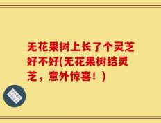 无花果树上长了个灵芝好不好(无花果树结灵芝，意外惊喜！)