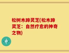 松树木蹄灵芝(松木蹄灵芝：自然疗愈的神奇之物)