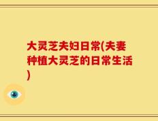 大灵芝夫妇日常(夫妻种植大灵芝的日常生活)