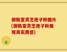 御甄堂灵芝孢子粉图片(御甄堂灵芝孢子粉展现真实质感)