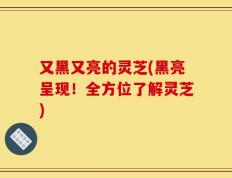 又黑又亮的灵芝(黑亮呈现！全方位了解灵芝)