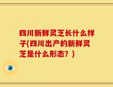 四川新鲜灵芝长什么样子(四川出产的新鲜灵芝是什么形态？)