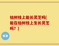 枯树枝上能长灵芝吗(能在枯树枝上生长灵芝吗？)