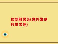 捡到鲜灵芝(意外发现珍贵灵芝)