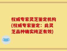 权威专家灵芝鉴定机构(权威专家鉴定：此灵芝品种确实纯正有效)