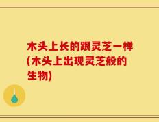 木头上长的跟灵芝一样(木头上出现灵芝般的生物)