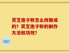 灵芝孢子粉怎么样做成的？灵芝孢子粉的制作方法和功效？