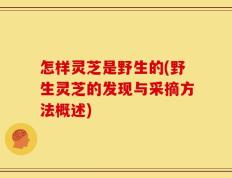 怎样灵芝是野生的(野生灵芝的发现与采摘方法概述)