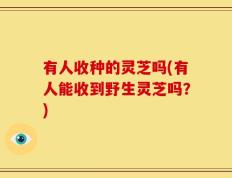 有人收种的灵芝吗(有人能收到野生灵芝吗？)
