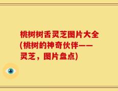 桃树树舌灵芝图片大全(桃树的神奇伙伴——灵芝，图片盘点)