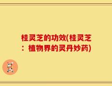 桂灵芝的功效(桂灵芝：植物界的灵丹妙药)