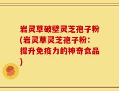 岩灵草破壁灵芝孢子粉(岩灵草灵芝孢子粉：提升免疫力的神奇食品)