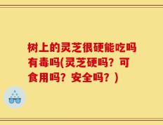 树上的灵芝很硬能吃吗有毒吗(灵芝硬吗？可食用吗？安全吗？)