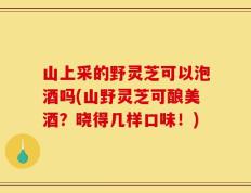 山上采的野灵芝可以泡酒吗(山野灵芝可酿美酒？晓得几样口味！)