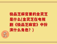 极品芝麻官里的金灵芝是什么(金灵芝在电视剧《极品芝麻官》中扮演什么角色？)