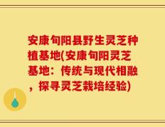 安康旬阳县野生灵芝种植基地(安康旬阳灵芝基地：传统与现代相融，探寻灵芝栽培经验)