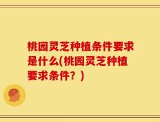 桃园灵芝种植条件要求是什么(桃园灵芝种植要求条件？)