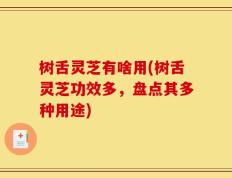 树舌灵芝有啥用(树舌灵芝功效多，盘点其多种用途)