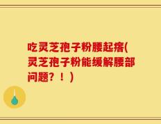 吃灵芝孢子粉腰起瘩(灵芝孢子粉能缓解腰部问题？！)
