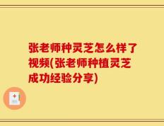 张老师种灵芝怎么样了视频(张老师种植灵芝成功经验分享)