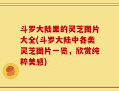 斗罗大陆里的灵芝图片大全(斗罗大陆中各类灵芝图片一览，欣赏纯粹美感)