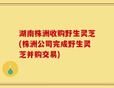 湖南株洲收购野生灵芝(株洲公司完成野生灵芝并购交易)