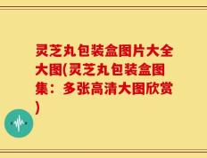 灵芝丸包装盒图片大全大图(灵芝丸包装盒图集：多张高清大图欣赏)