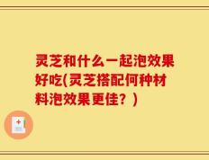 灵芝和什么一起泡效果好吃(灵芝搭配何种材料泡效果更佳？)