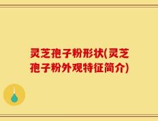 灵芝孢子粉形状(灵芝孢子粉外观特征简介)