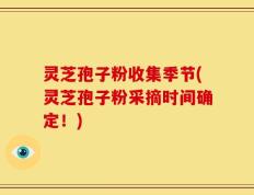 灵芝孢子粉收集季节(灵芝孢子粉采摘时间确定！)