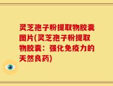 灵芝孢子粉提取物胶囊图片(灵芝孢子粉提取物胶囊：强化免疫力的天然良药)