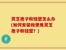 灵芝孢子粉挂壁怎么办(如何安装和使用灵芝孢子粉挂壁？)
