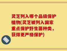 灵芝列入哪个品级保护植物(灵芝被列入国家重点保护野生菌种类，获得更严格保护)