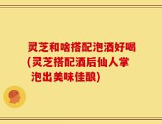 灵芝和啥搭配泡酒好喝(灵芝搭配酒后仙人掌 泡出美味佳酿)