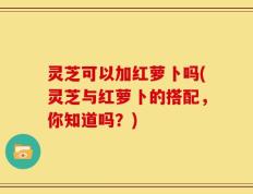 灵芝可以加红萝卜吗(灵芝与红萝卜的搭配，你知道吗？)