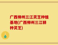 广西柳州三江灵芝种植基地(广西柳州三江耕种灵芝)