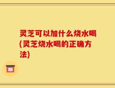 灵芝可以加什么烧水喝(灵芝烧水喝的正确方法)