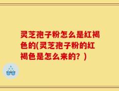 灵芝孢子粉怎么是红褐色的(灵芝孢子粉的红褐色是怎么来的？)