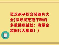 灵芝孢子粉合装图片大全(探寻灵芝孢子粉的多重健康益处：海量合装图片大集锦！)