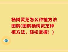 杨树灵芝怎么种植方法图解(图解杨树灵芝种植方法，轻松掌握！)