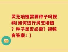 灵芝培植需要种子吗视频(如何进行灵芝培植？种子是否必需？视频有答案！)