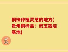 桐梓种植灵芝的地方(贵州桐梓县：灵芝栽培基地)