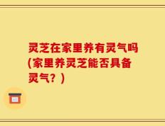 灵芝在家里养有灵气吗(家里养灵芝能否具备灵气？)