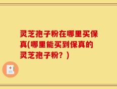 灵芝孢子粉在哪里买保真(哪里能买到保真的灵芝孢子粉？)