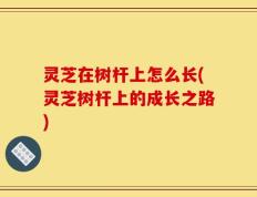 灵芝在树杆上怎么长(灵芝树杆上的成长之路)